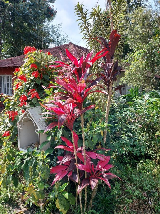 סאקלשפור Robin Woods Homestay מראה חיצוני תמונה