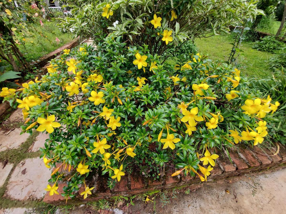סאקלשפור Robin Woods Homestay מראה חיצוני תמונה