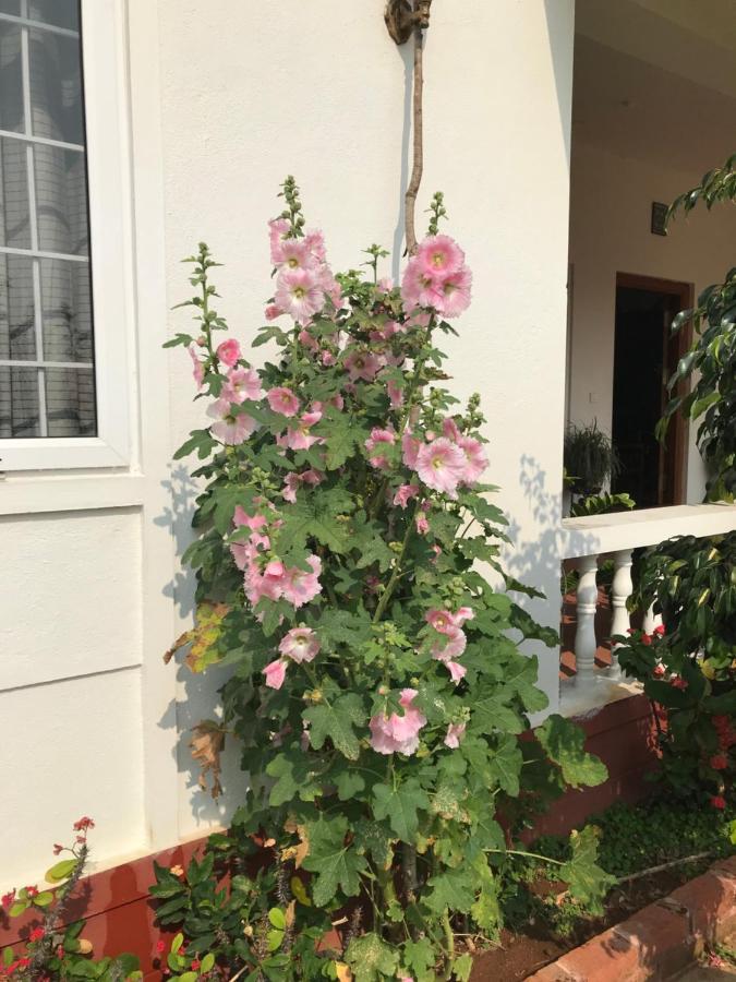סאקלשפור Robin Woods Homestay מראה חיצוני תמונה