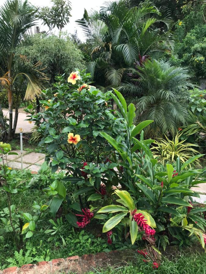 סאקלשפור Robin Woods Homestay מראה חיצוני תמונה